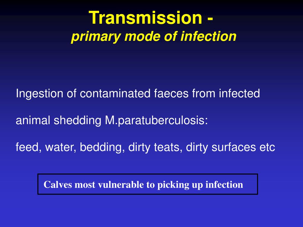 PPT Johne’s Disease PowerPoint Presentation, free download ID1770915