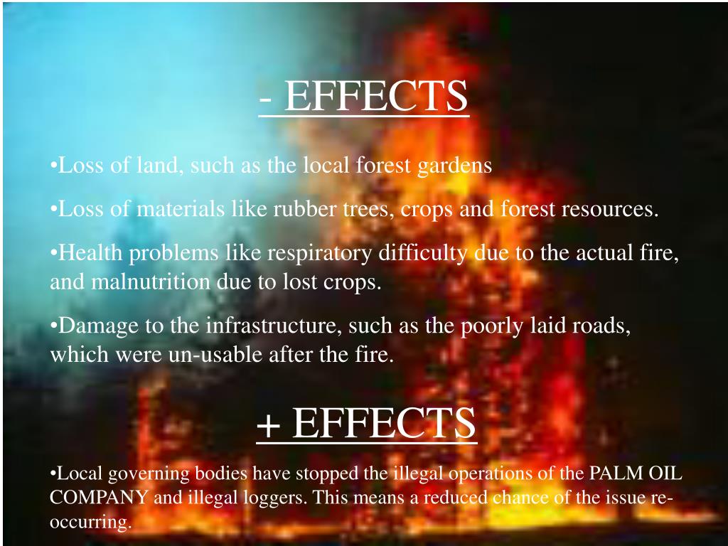 PPT Forest Fires PowerPoint Presentation, free download ID1772294