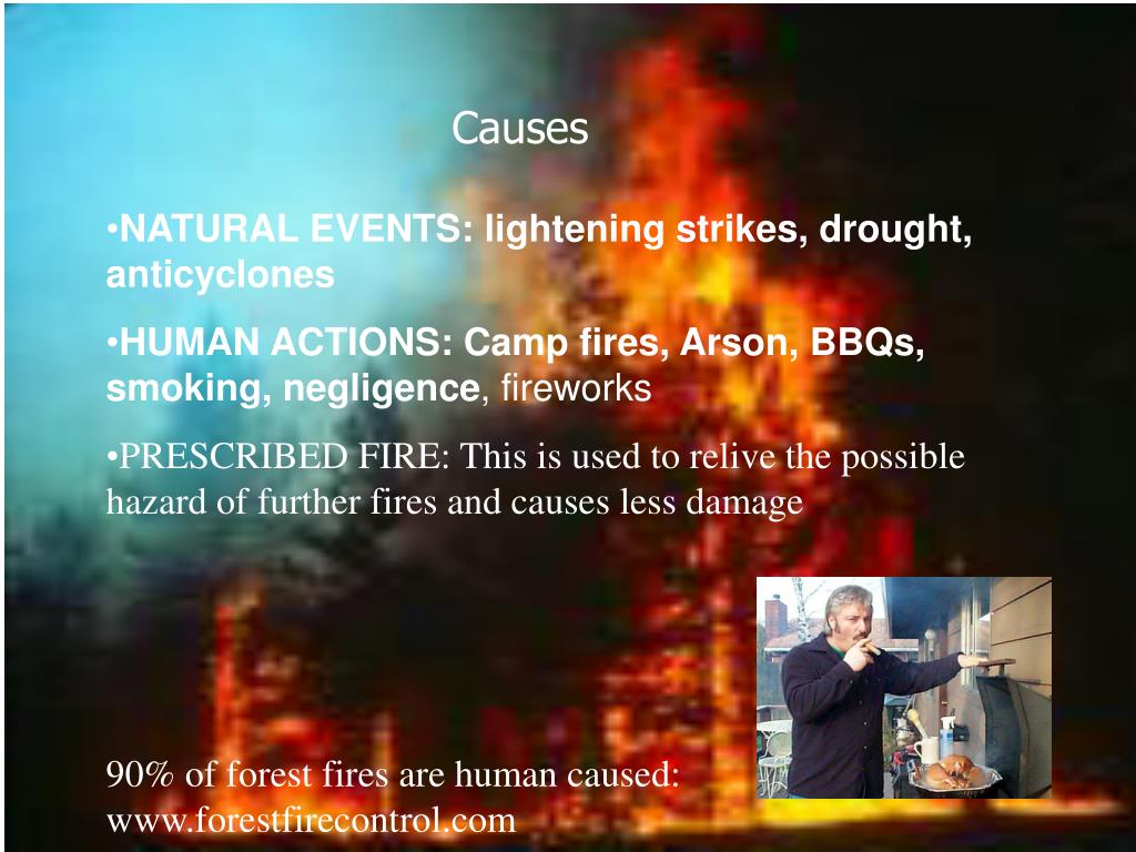 PPT Forest Fires PowerPoint Presentation, free download ID1772294
