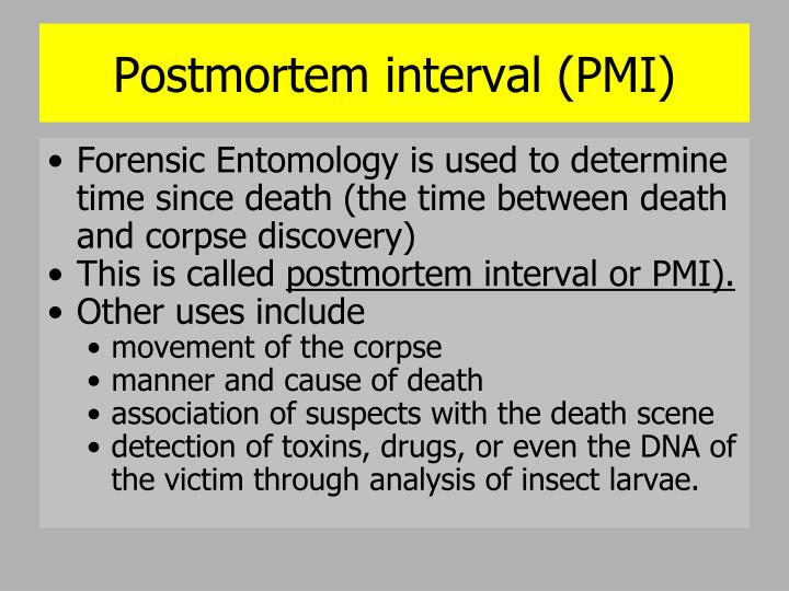 PPT Forensic Entomology PowerPoint Presentation ID1772865