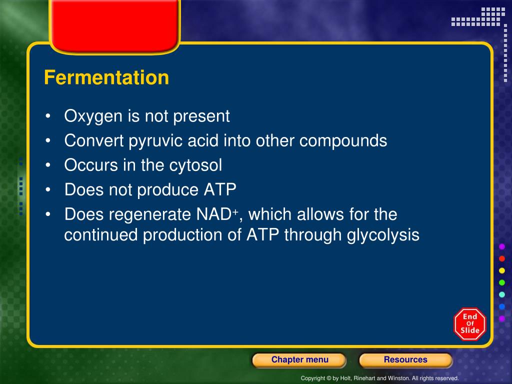 PPT Fermentation PowerPoint Presentation, free download ID1775893