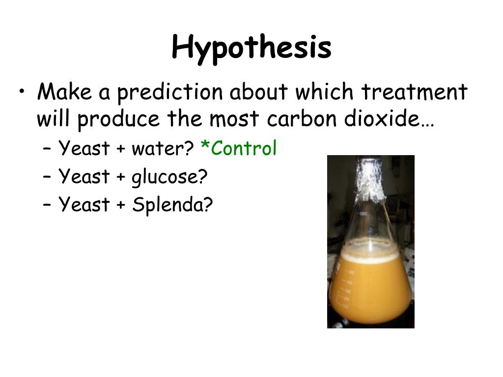 PPT Yeast Metabolism Lab PowerPoint Presentation, free download ID
