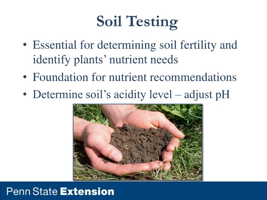 PPT Pastures PowerPoint Presentation, free download ID1776493