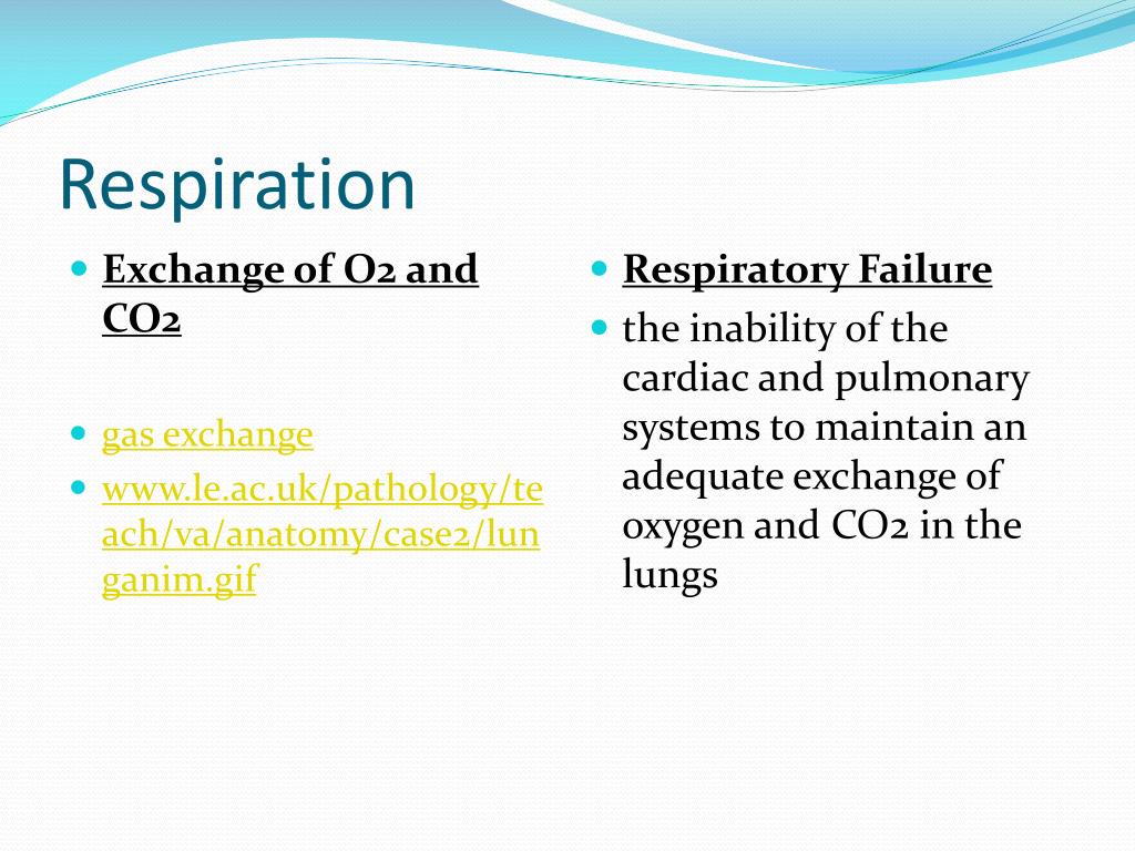 PPT RESPIRATORY FAILURE and ARDS PowerPoint Presentation, free