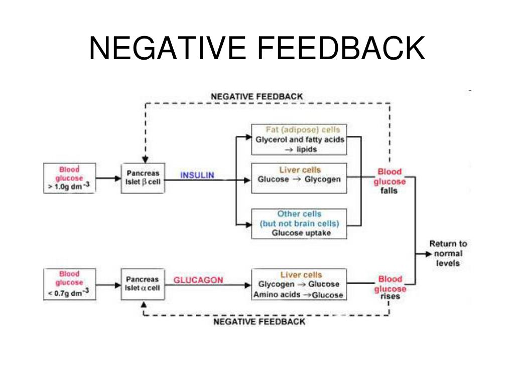 PPT Ref. Textbook of Medical Physiology . 12th. Ed. 11 th edition By