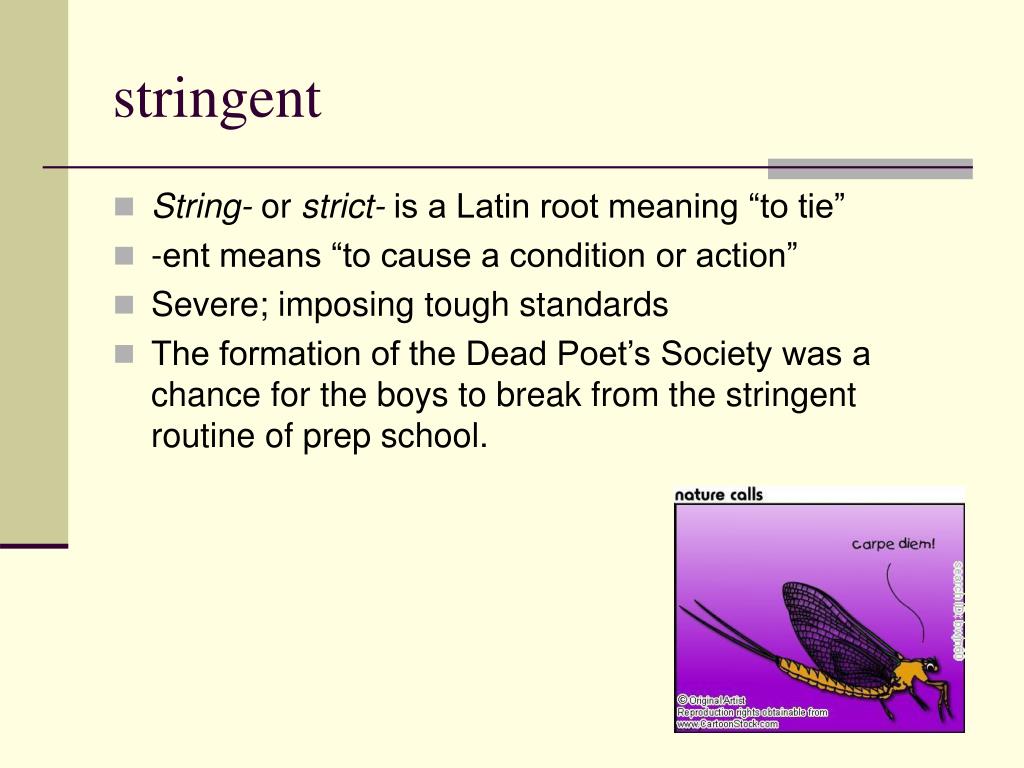 PPT 11th grade Vocabulary PowerPoint Presentation, free