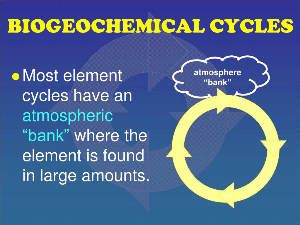 PPT BIOGEOCHEMICAL CYCLES PowerPoint Presentation, free download ID