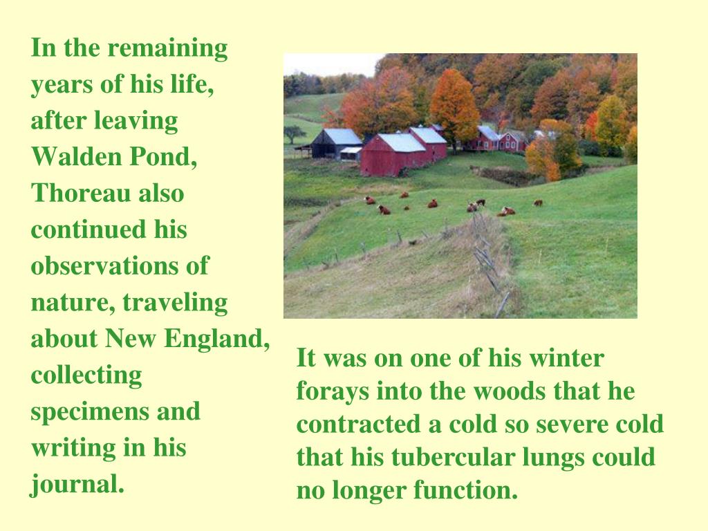 PPT Henry David Thoreau PowerPoint Presentation, free download ID