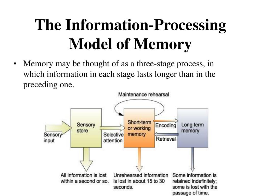 PPT Memory PowerPoint Presentation, free download ID1782121