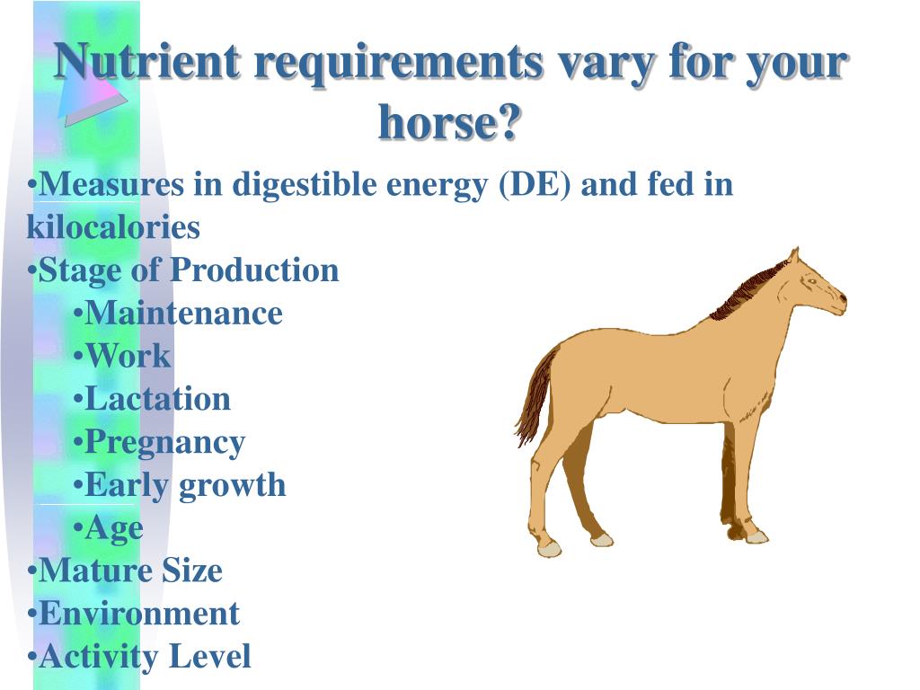 PPT Horse Nutrition PowerPoint Presentation, free download ID1782140