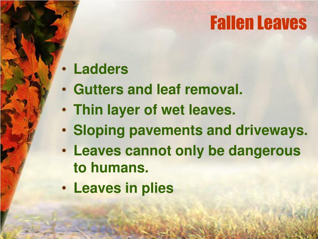 PPT Fall Safety tips ! PowerPoint Presentation, free download ID