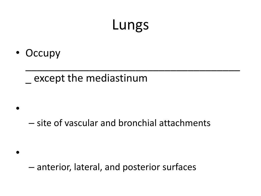 PPT Lungs PowerPoint Presentation, free download ID1783896