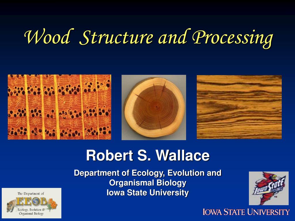 PPT Wood Structure and Processing PowerPoint Presentation, free