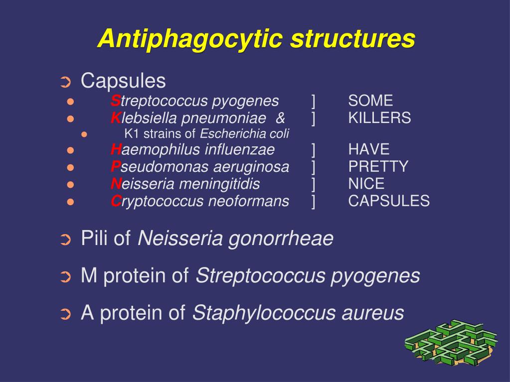 PPT Virulence Factors & Features Important in Disease PowerPoint