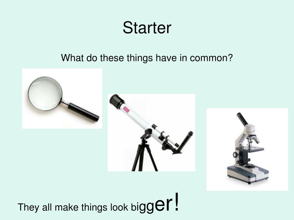 PPT Cells Lesson 1 PowerPoint Presentation, free download ID1785501