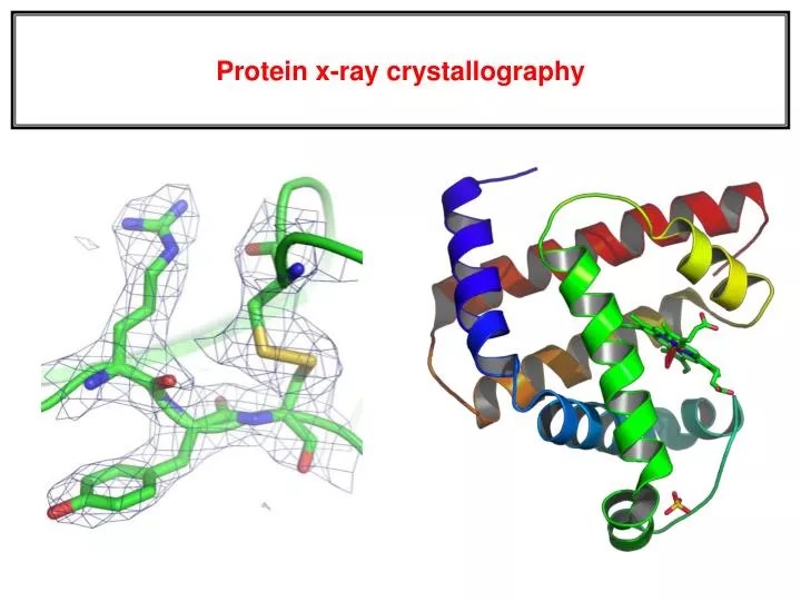 PPT Protein xray crystallography PowerPoint Presentation, free