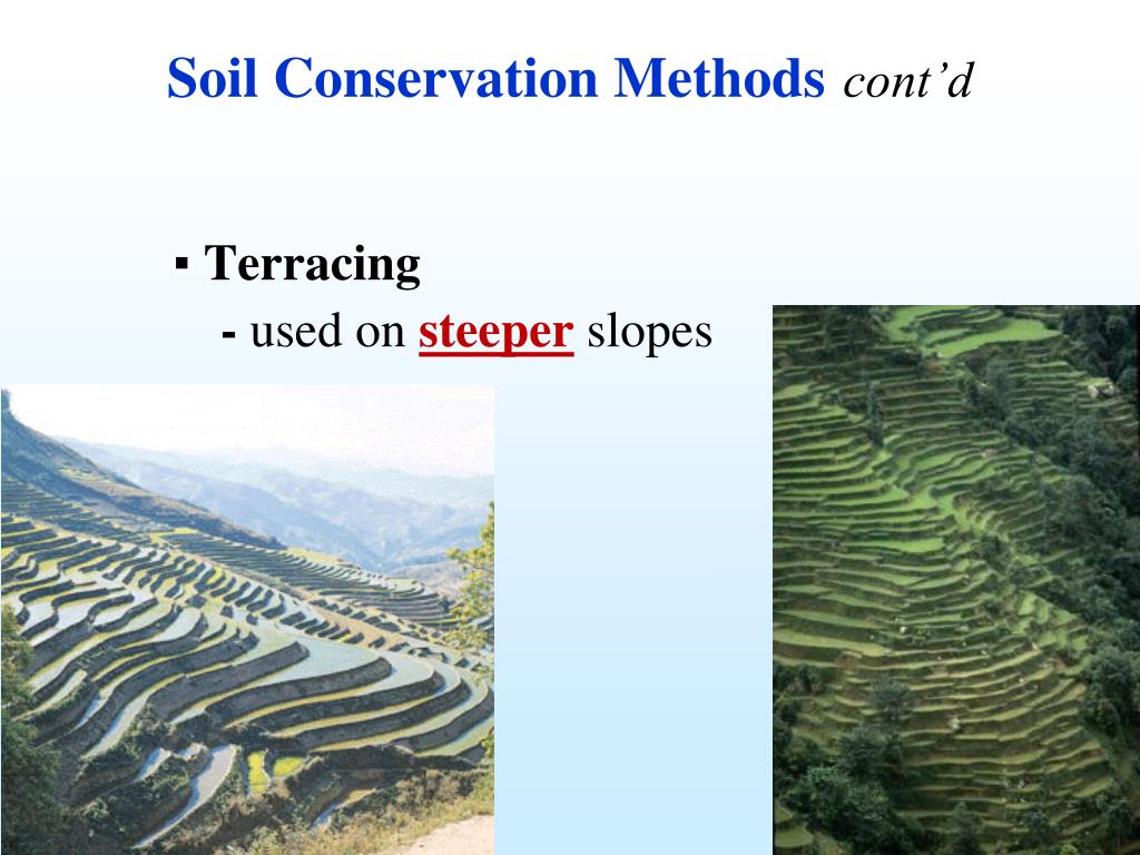 PPT Land Management PowerPoint Presentation, free download ID1788639