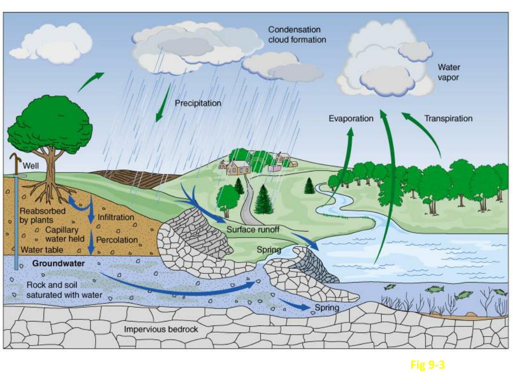 PPT THE WATER CYCLE PowerPoint Presentation, free download ID1789540