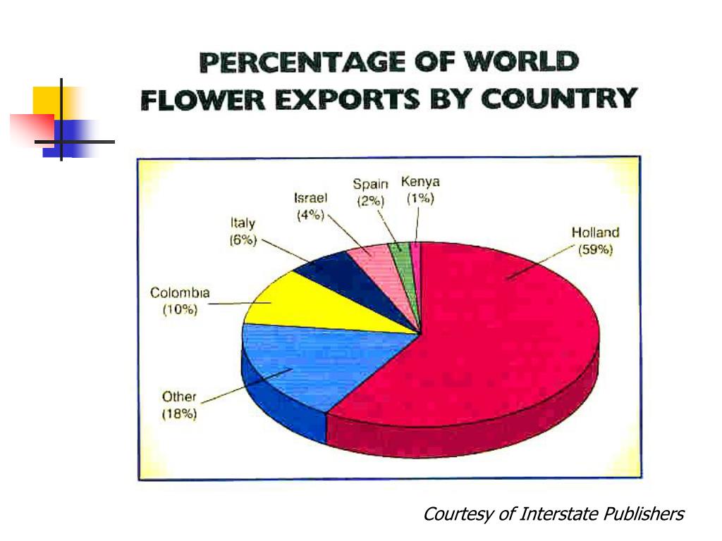 PPT Floriculture Industry PowerPoint Presentation, free download ID