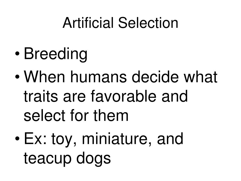 PPT Evolution Standard SB5d EQ How does natural selection lead to a