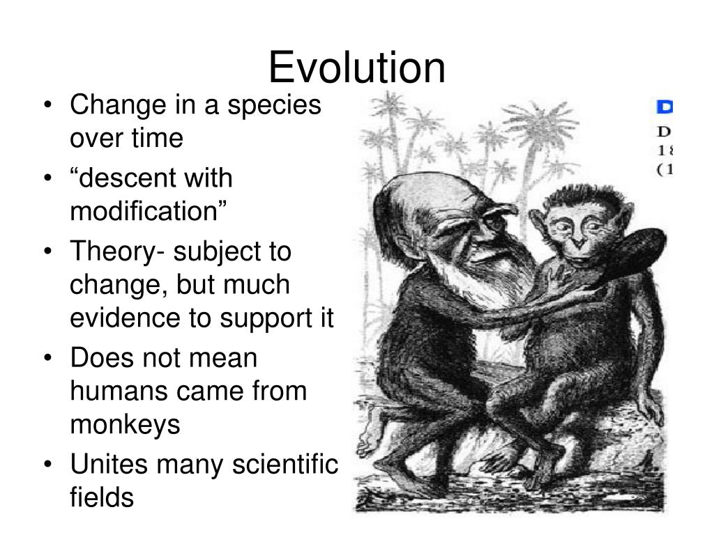 PPT Evolution Standard SB5d EQ How does natural selection lead to a