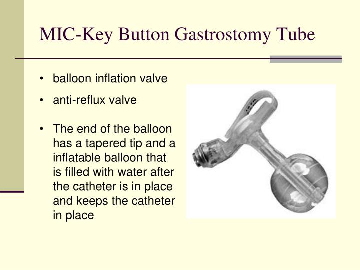 PPT Gastrostomy Tube Reinsertion PowerPoint Presentation ID1794462