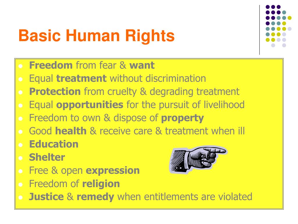 PPT Parliament and Human Rights PowerPoint Presentation, free