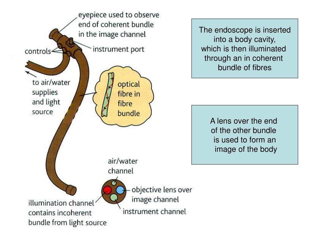 PPT total internal reflection PowerPoint Presentation, free download