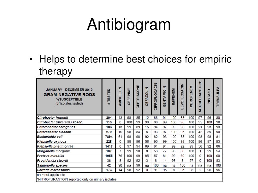 PPT Prudent Use of Antibiotics in Long Term Care Residents with