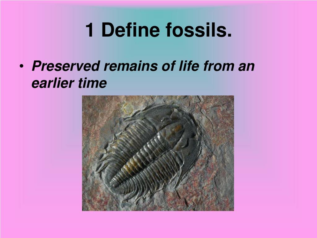 PPT 1 Define fossils. PowerPoint Presentation, free download ID1798910
