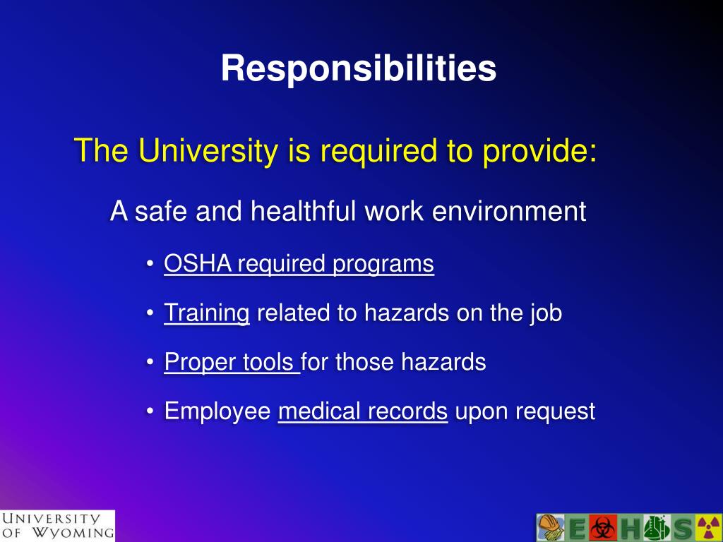 PPT New Safety Coordinators! PowerPoint Presentation, free download ID1801407