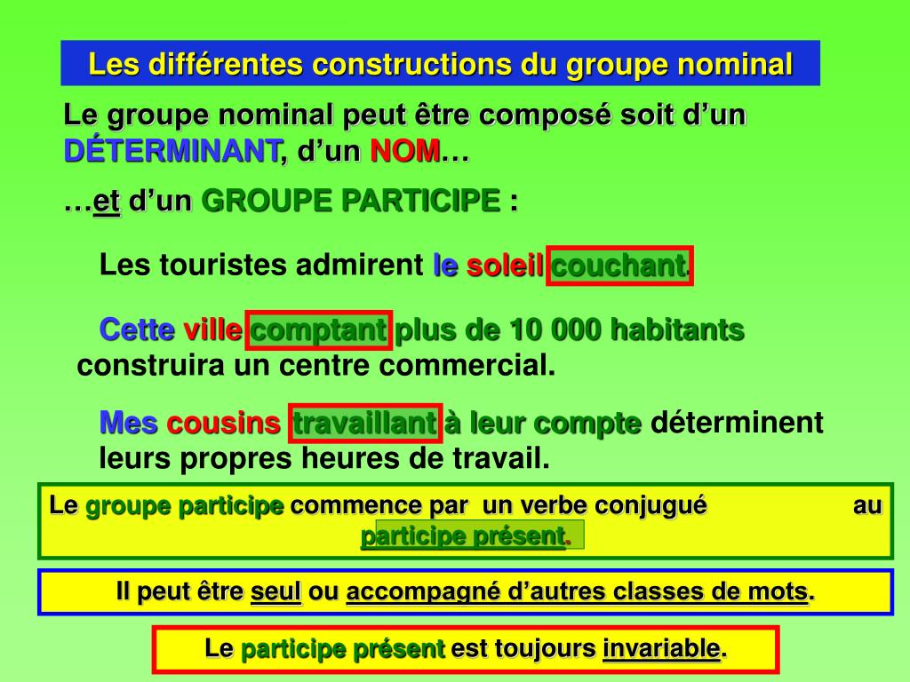 PPT Le groupe nominal PowerPoint Presentation, free download ID1801544