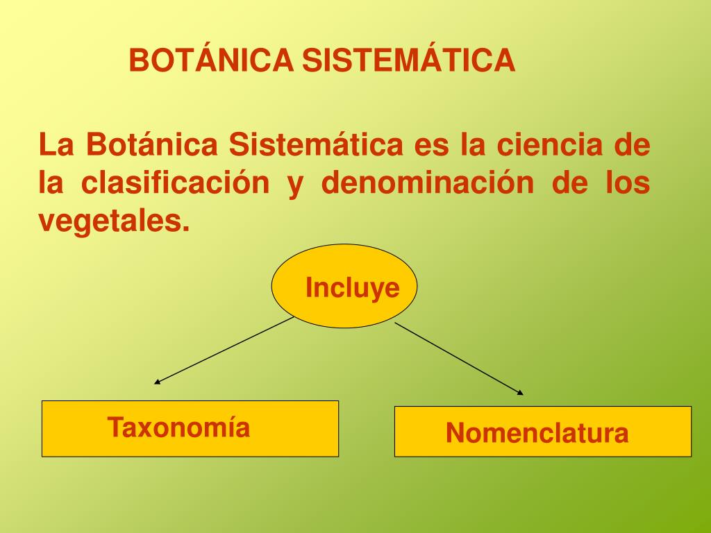 PPT Introducción al estudio de la Sistemática PowerPoint Presentation