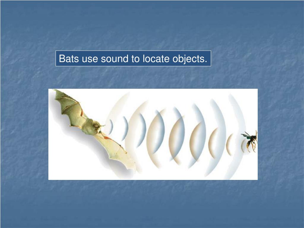 PPT Sound is a wave PowerPoint Presentation, free download ID1804541