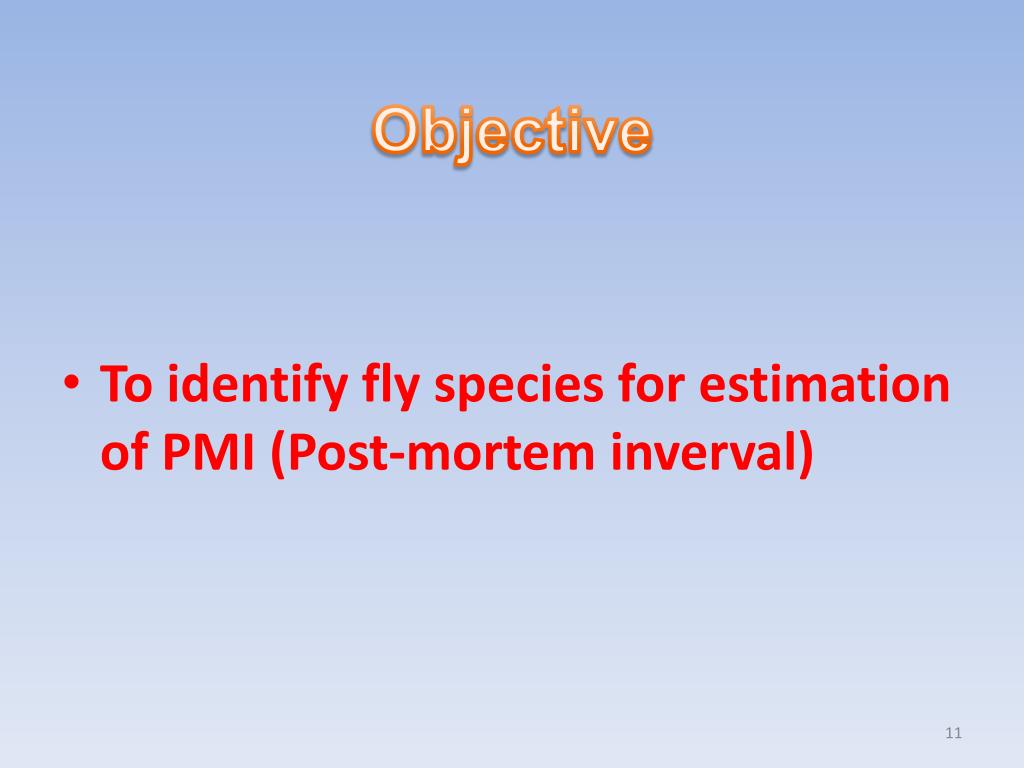 PPT Forensic Entomology PowerPoint Presentation, free download ID