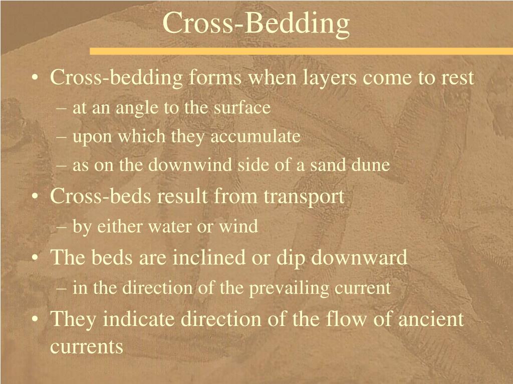 PPT Sedimentary Rocks— The Archives of Earth History PowerPoint