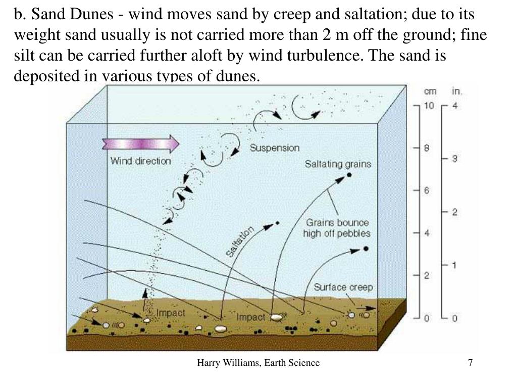 PPT DESERT LANDSCAPES Factors influencing desert landscapes