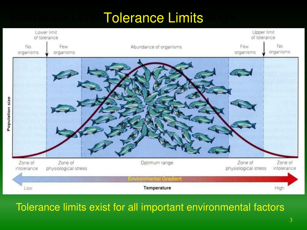 PPT Ecological niche and ecological niche modeling PowerPoint