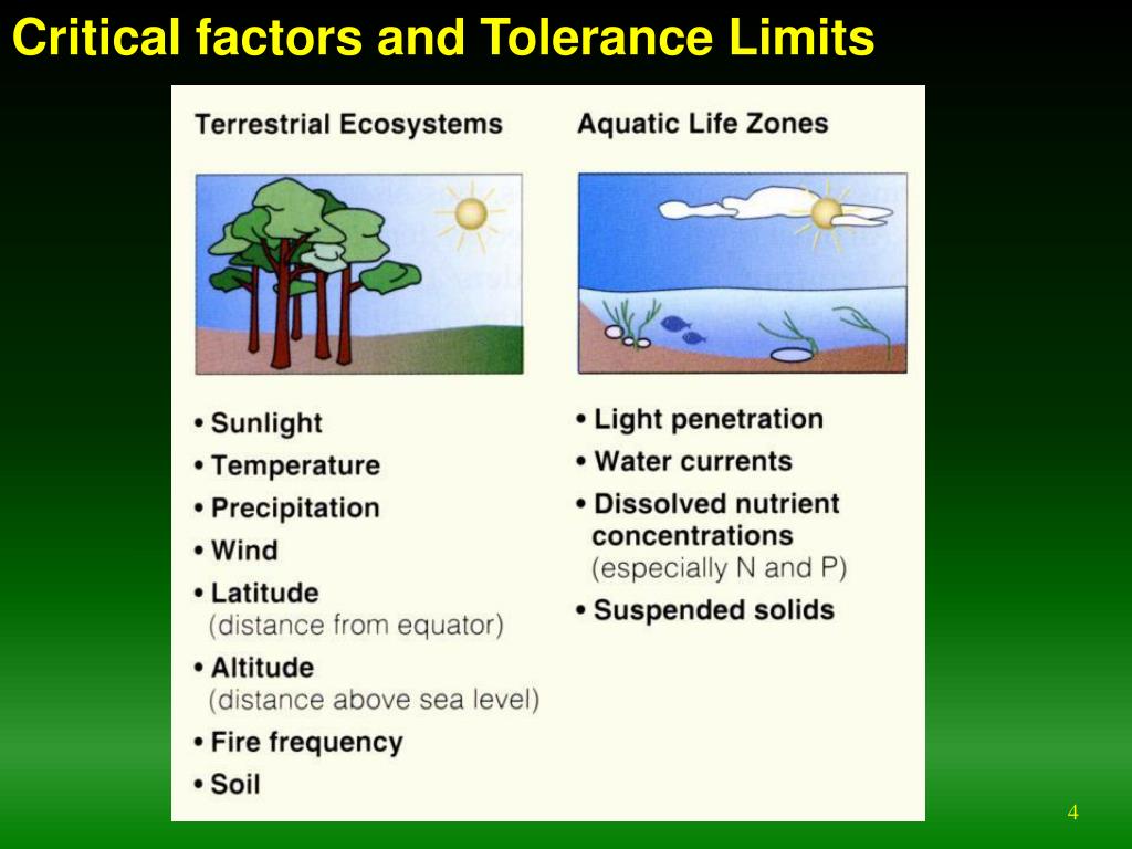 PPT Ecological niche and ecological niche modeling PowerPoint