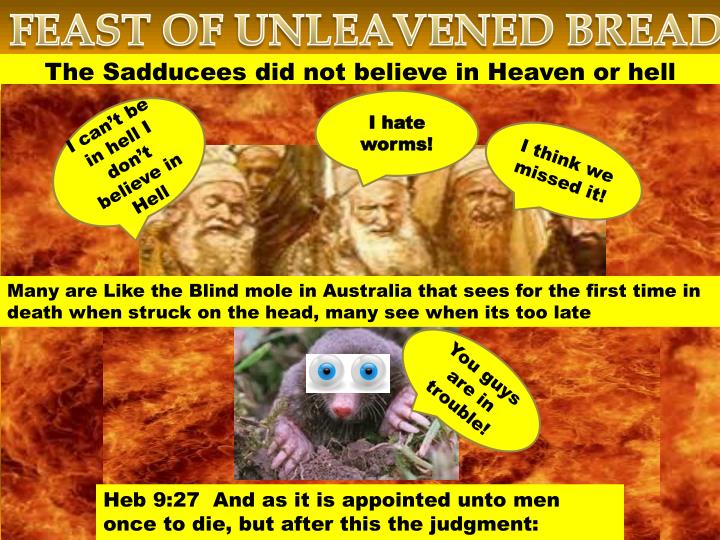PPT FEAST OF UNLEAVENED BREAD PowerPoint Presentation