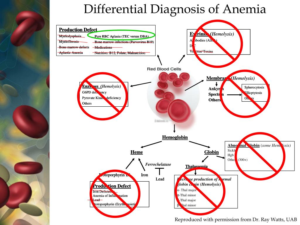 PPT Congenital Macrocytic Anemia PowerPoint Presentation, free download ID1819356