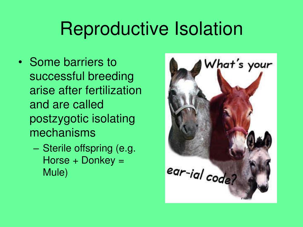 Mechanical Isolation Definition Biology Definitionjule
