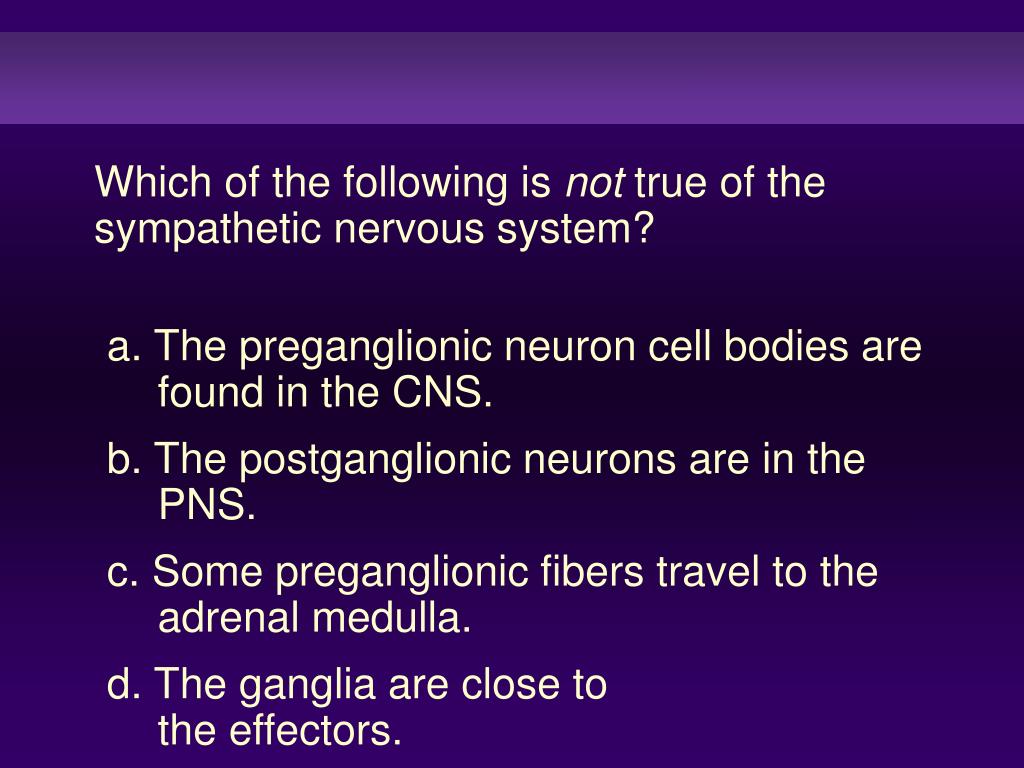 PPT All of the following are effects of the sympathetic nervous