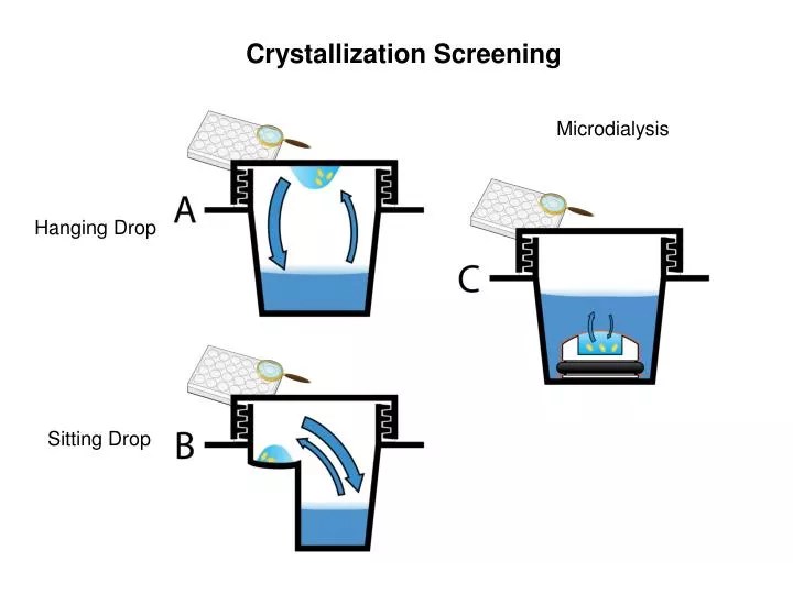 PPT Hanging Drop PowerPoint Presentation, free download