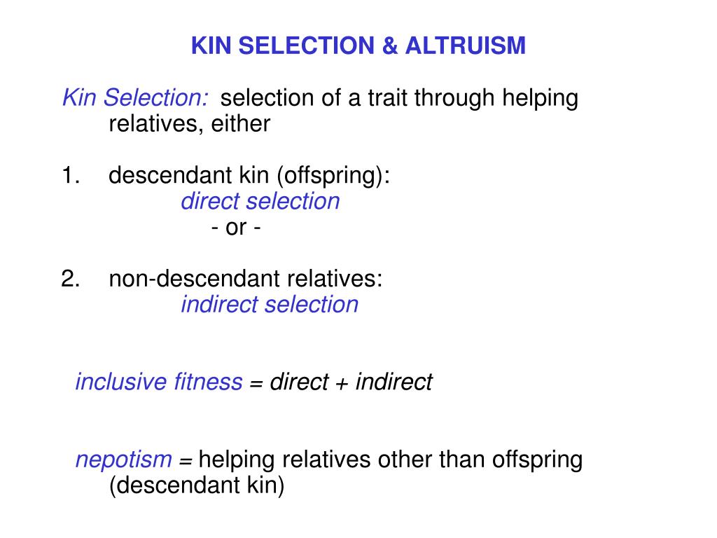 PPT Hamilton’s Rule Kin Selection PowerPoint Presentation, free