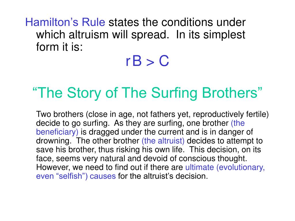 PPT Hamilton’s Rule Kin Selection PowerPoint Presentation, free