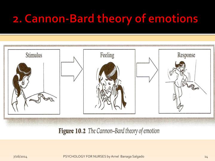 😊 Cannon bard theory of emotion psychology. Psychology CANON. 20190226