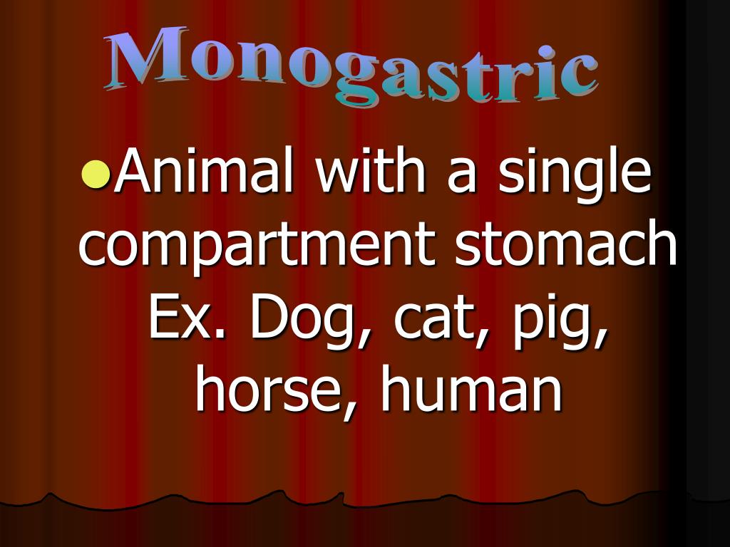 PPT Animal Science Terminology PowerPoint Presentation, free download