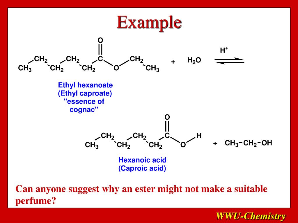 PPT The Esters PowerPoint Presentation, free download ID1828351