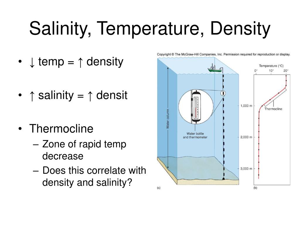 PPT - Salinity, Temperature, Density PowerPoint Presentation, free